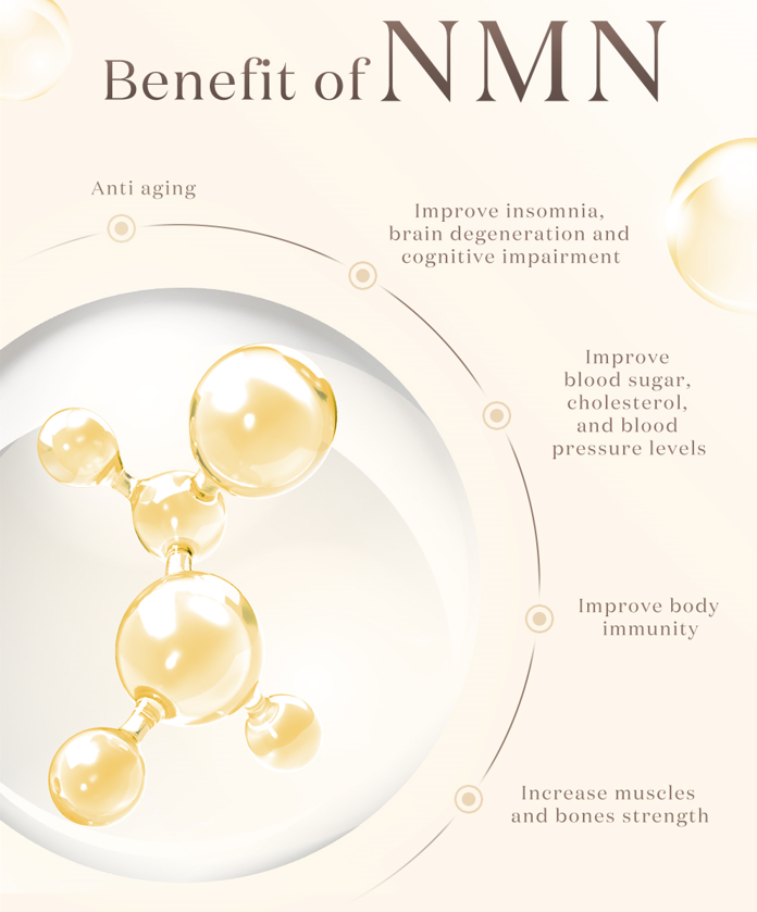 Best NMN Supplement with Resveratrol & Grape Seed Extract โ 120 Acid-Resistant Capsules for Energy & Longevity