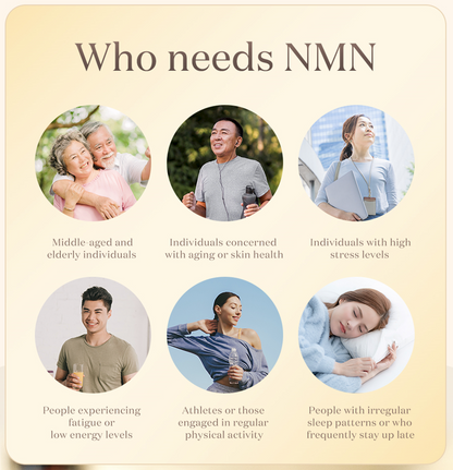 Best NMN Supplement with Resveratrol & Grape Seed Extract – 120 Acid-Resistant Capsules for Energy & Longevity