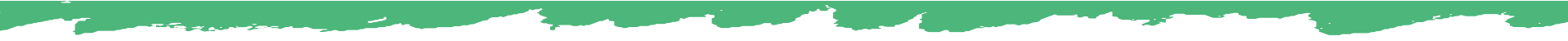 Bottom Wave